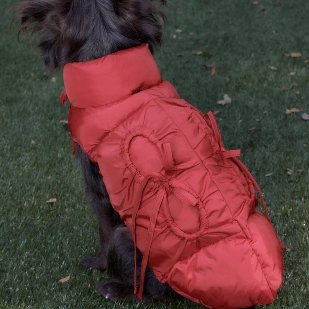 NWT Dog Lil Bommy Puffer Little Beast SANDY LIANG Collab Size M